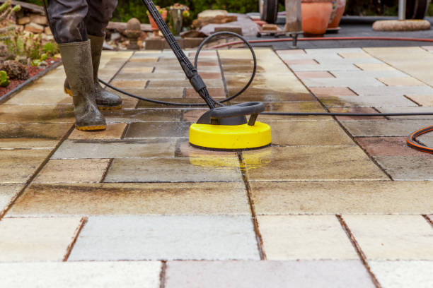 Best Animal Enclosure Cleaning  in Tenafly, NJ